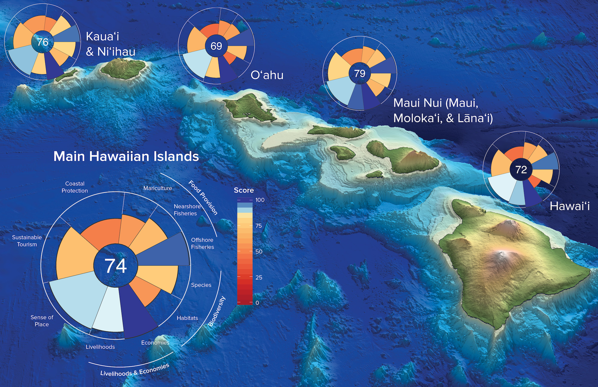 The Ocean Health Index scores for Hawaii's main islands.