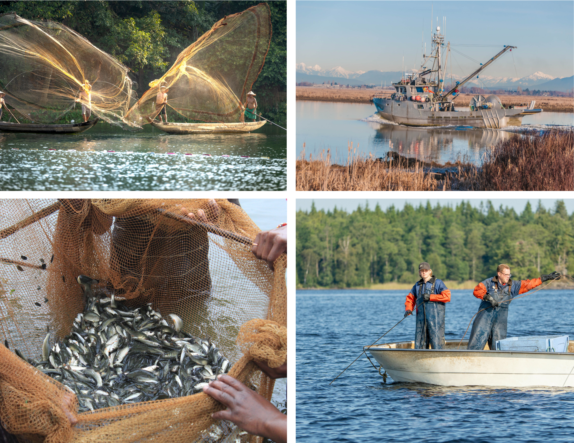 4 examples of inland fishing