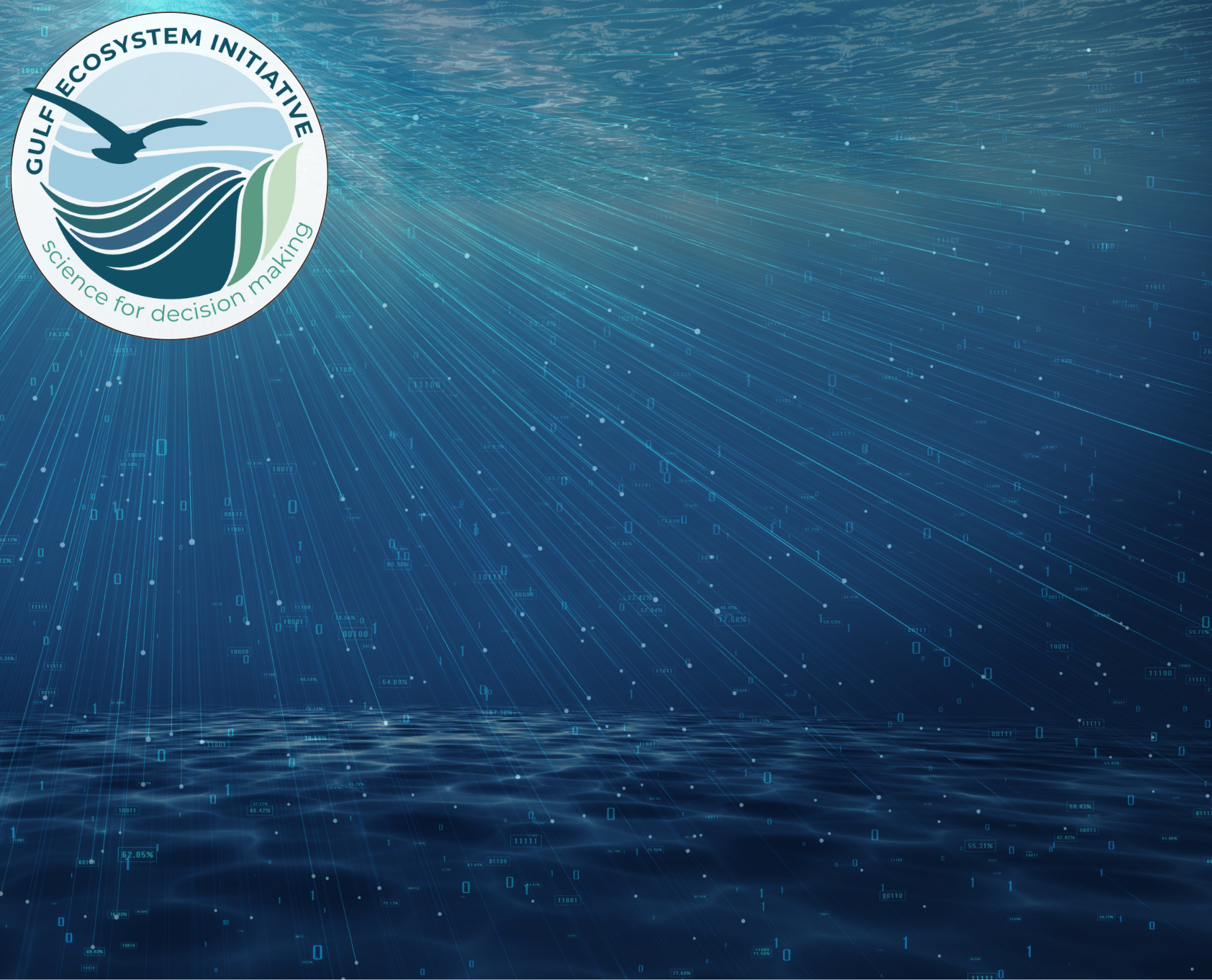 At their core, NCEAS working groups bring diverse experts together to co-develop knowledge that supports better decisions for people and the planet. NCEAS image.