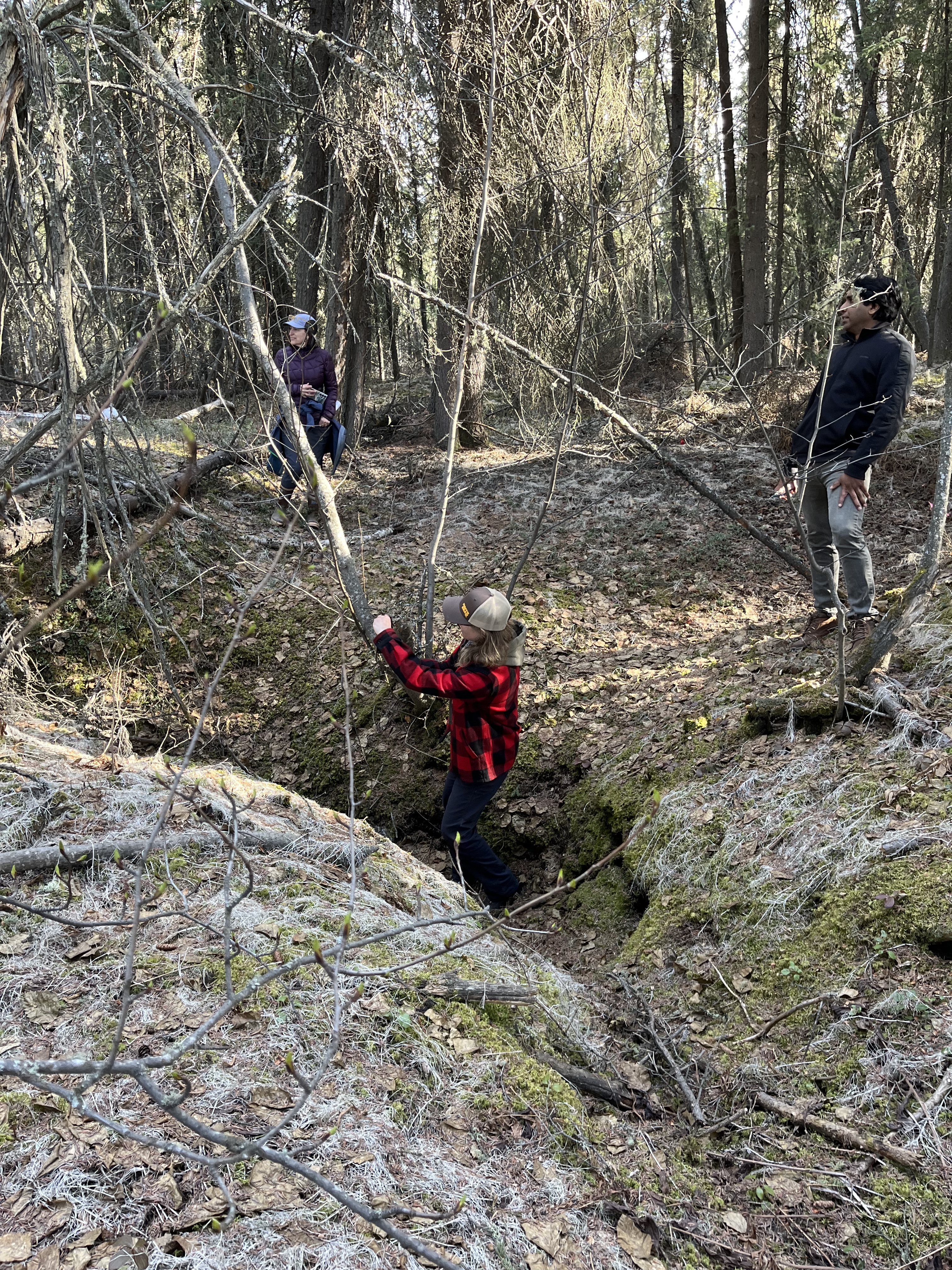 A woman in a red plaid jacket stands in a depression of a wooded area. 