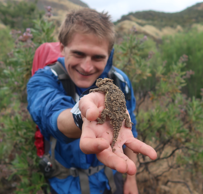 man holding lizard