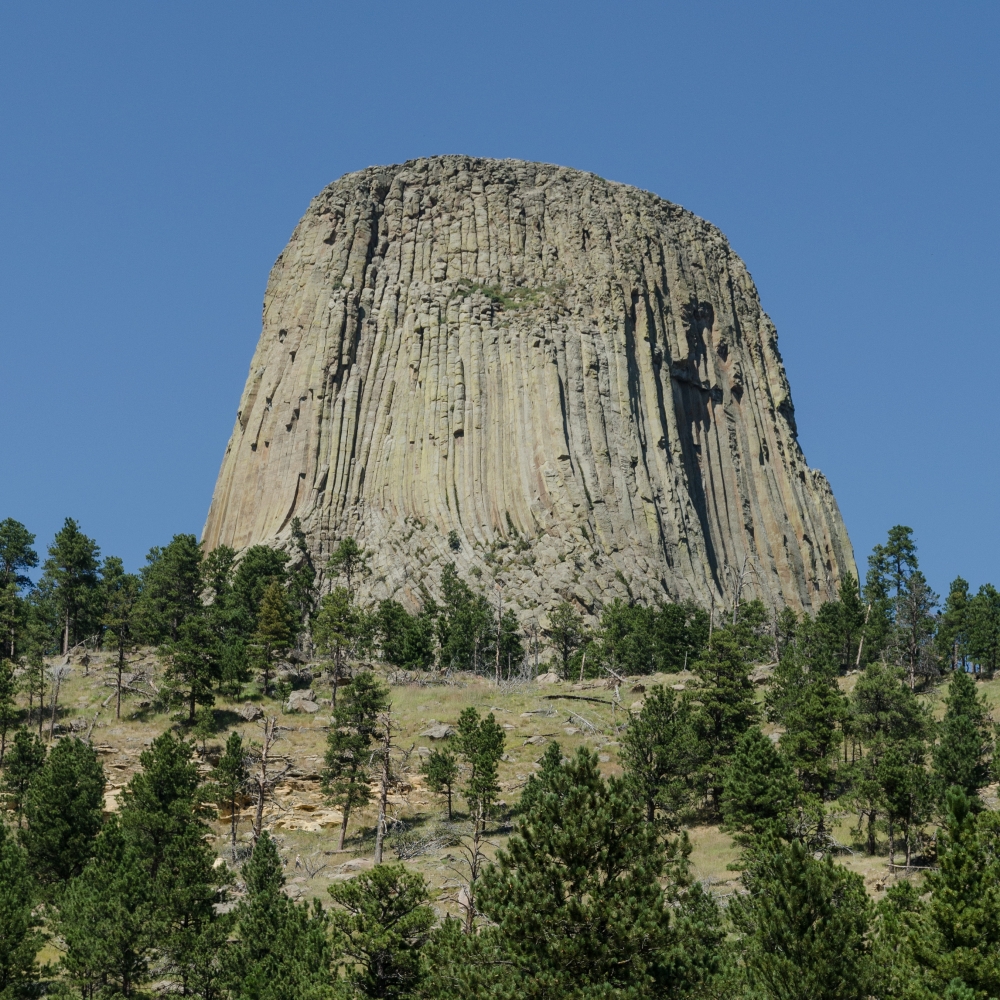 Devils Tower mountain in the distance