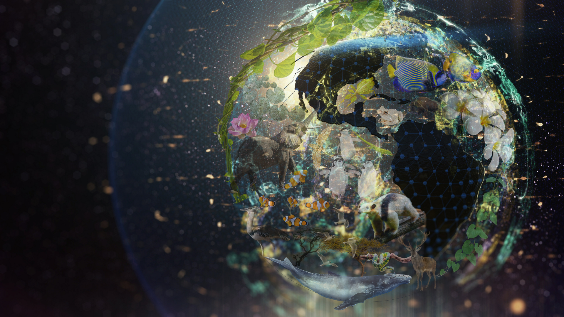 an earth with data and wildlife image overlay