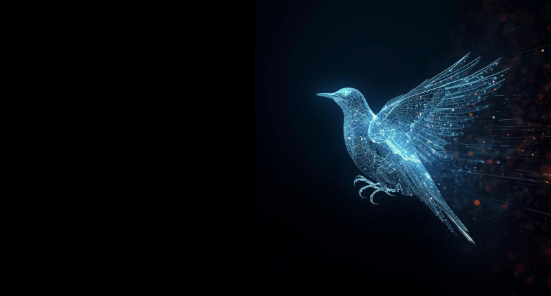 a bird becoming digitized