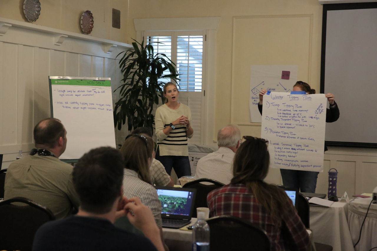 woman speaking in front of group