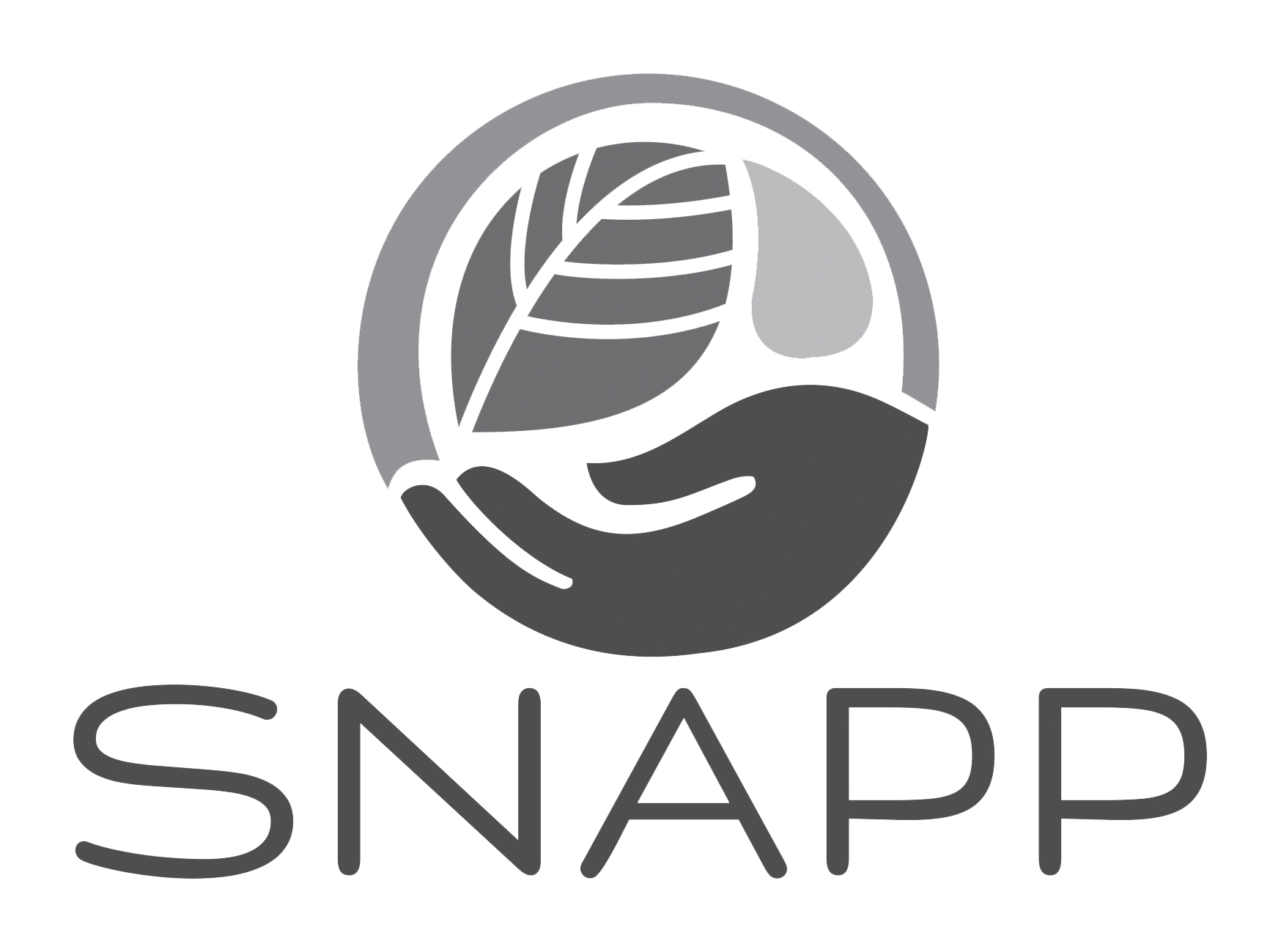 snap-acronym-grey
