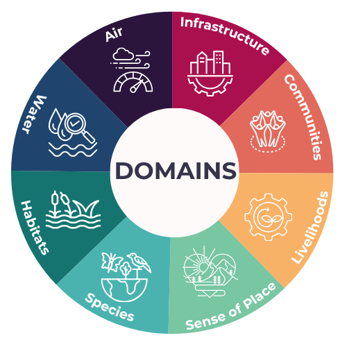 colorful wheel of the 8 wri domains
