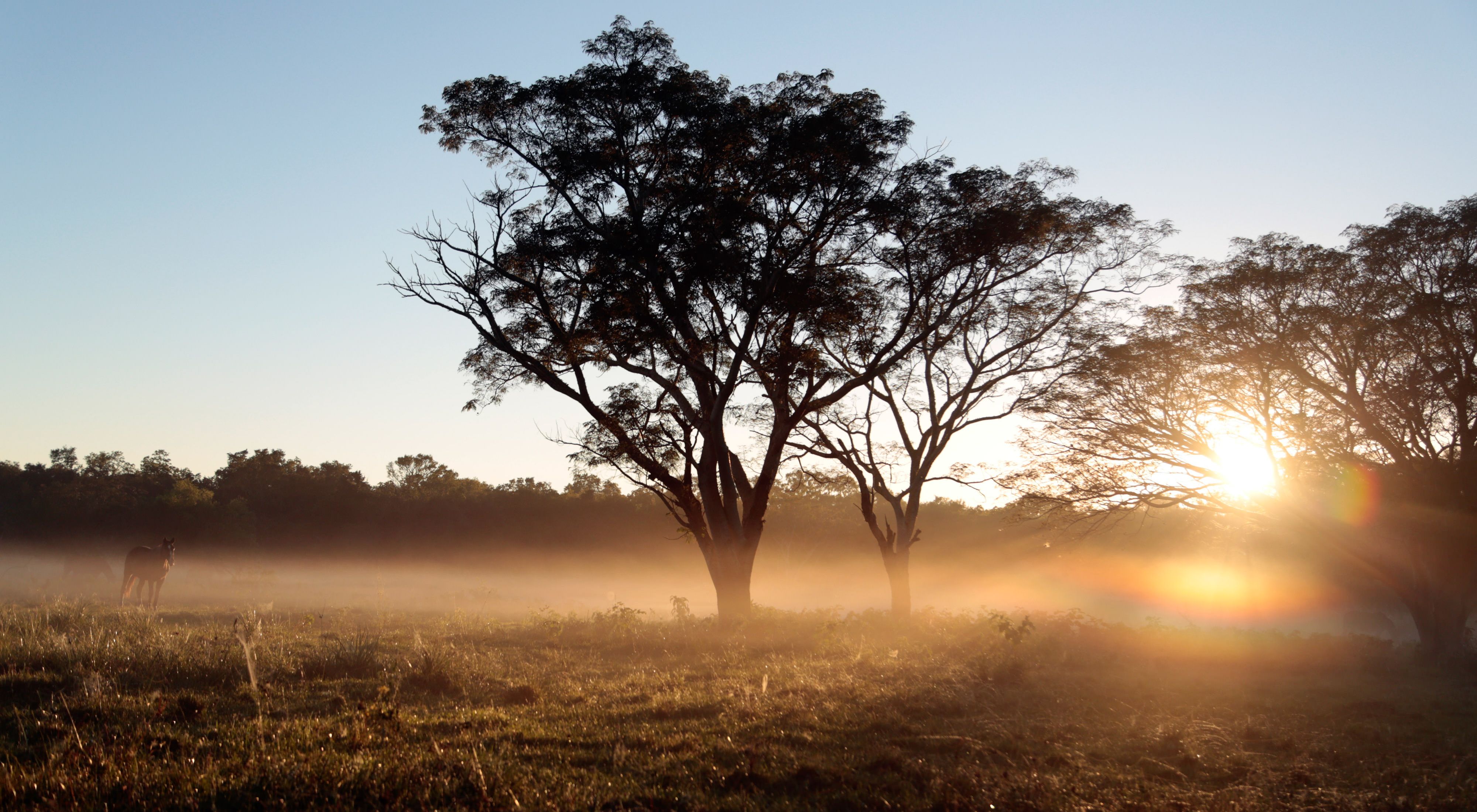 The gran chaco at sunset 