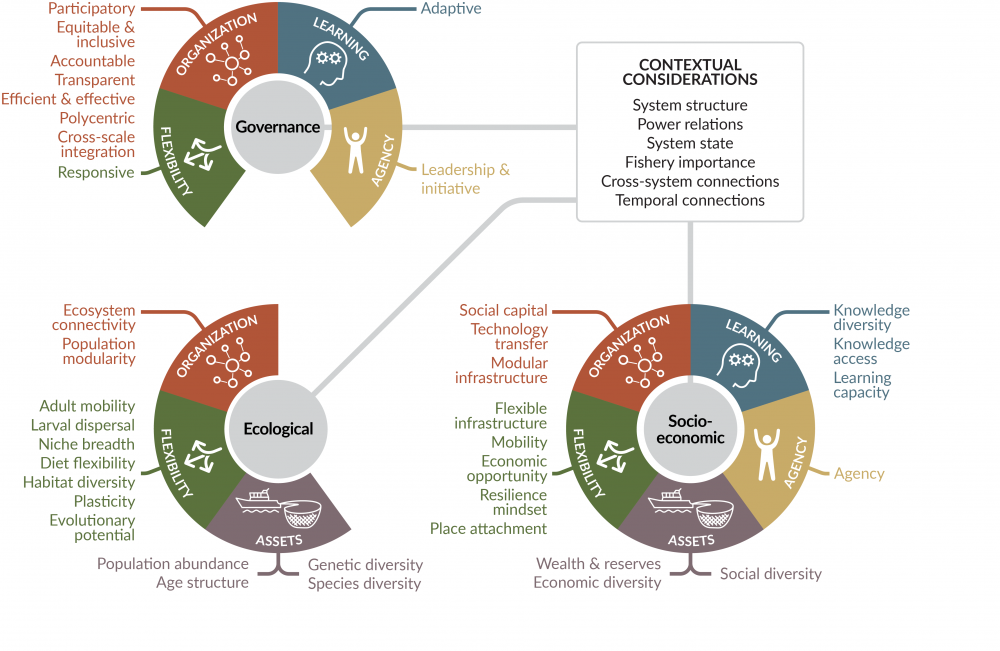 Fisheries Framework diagram