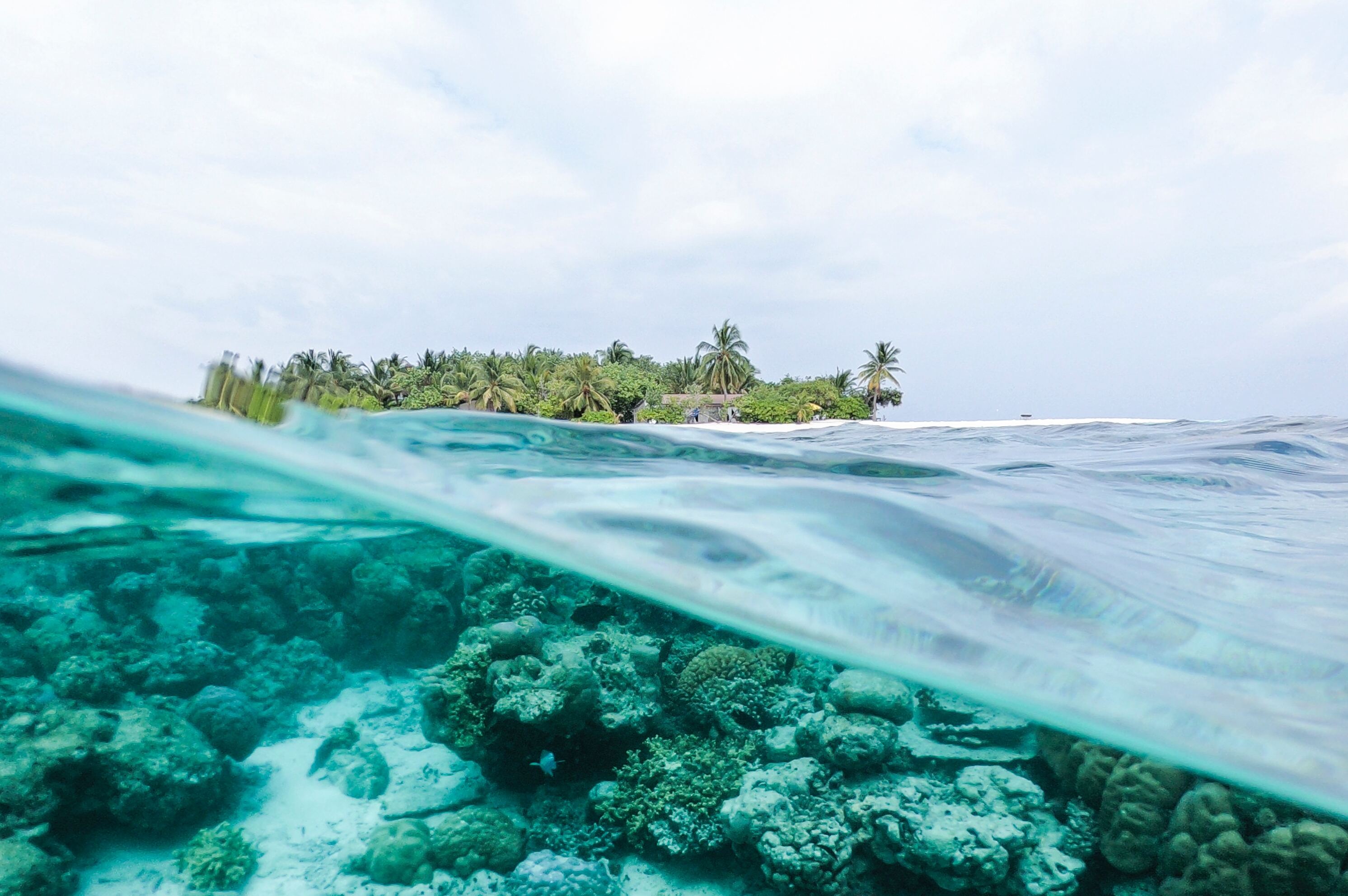 Underwater and abovewater shot of a reef 