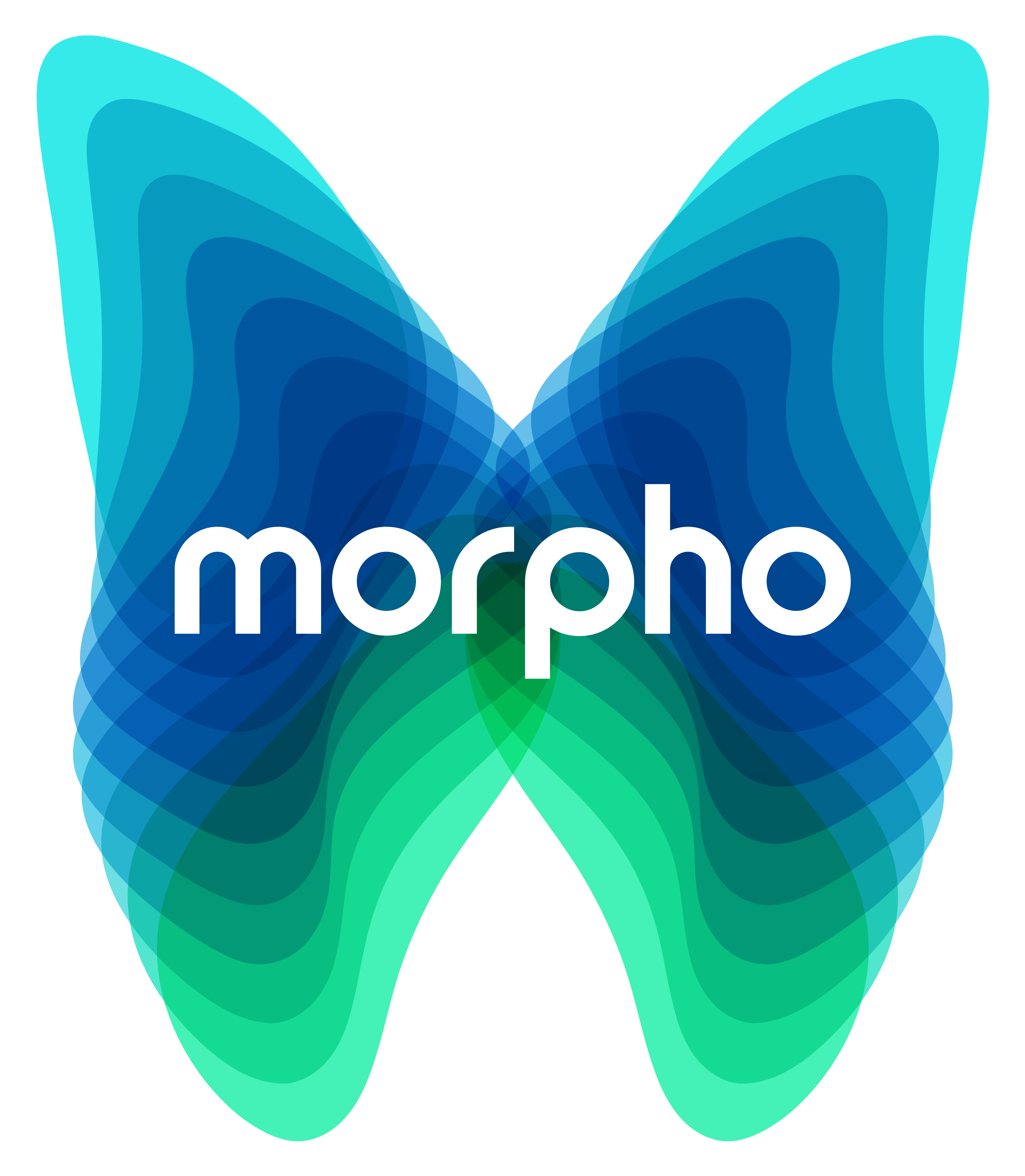 Morpho Butterfly Logo