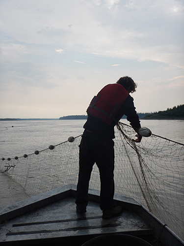 Salmon fishing on a boat