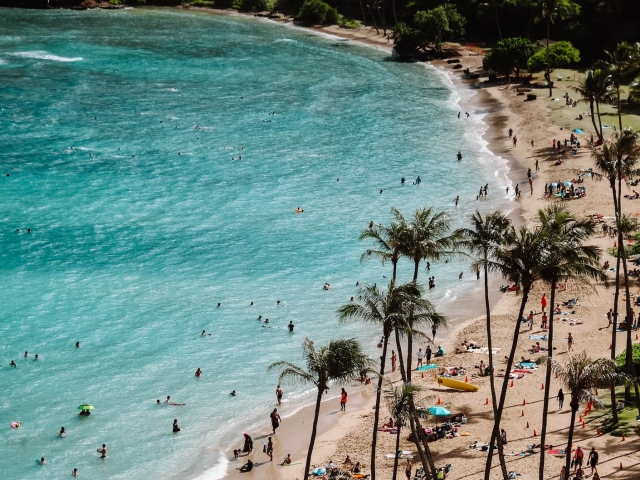 aerial view of people at the beach