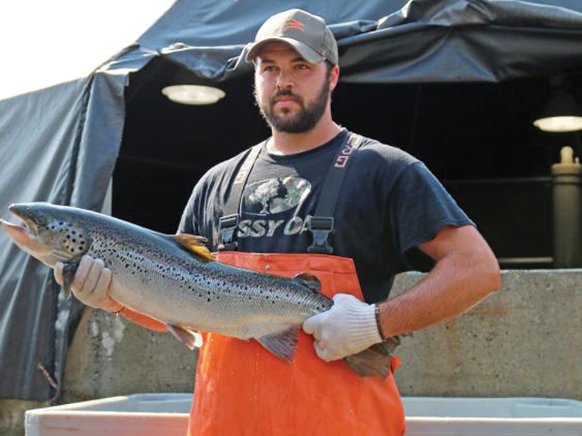 Salmon farmer holding a salmon