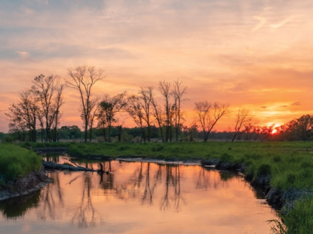 Wisconsin wetland at sunset