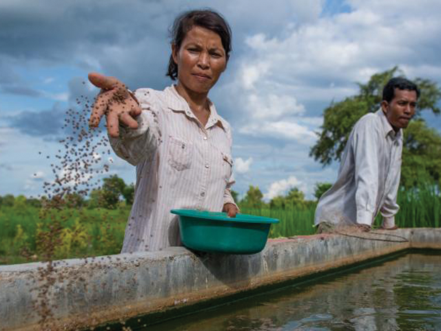 Woman Throwing Fish - credit Sylvan Borei