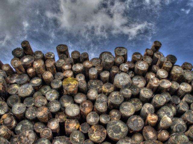 stacked logs and sky