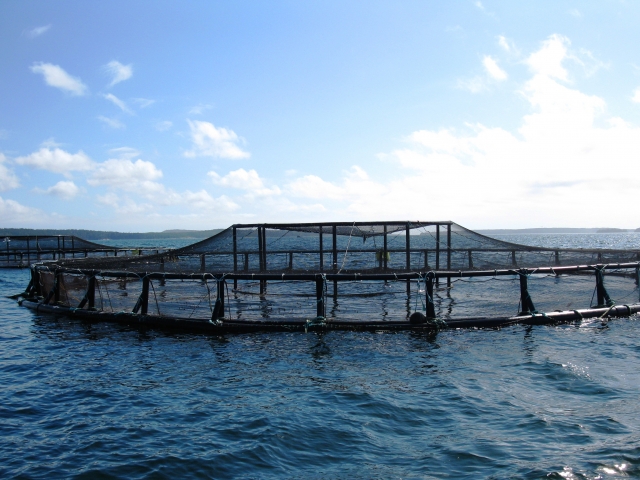 aquaculture