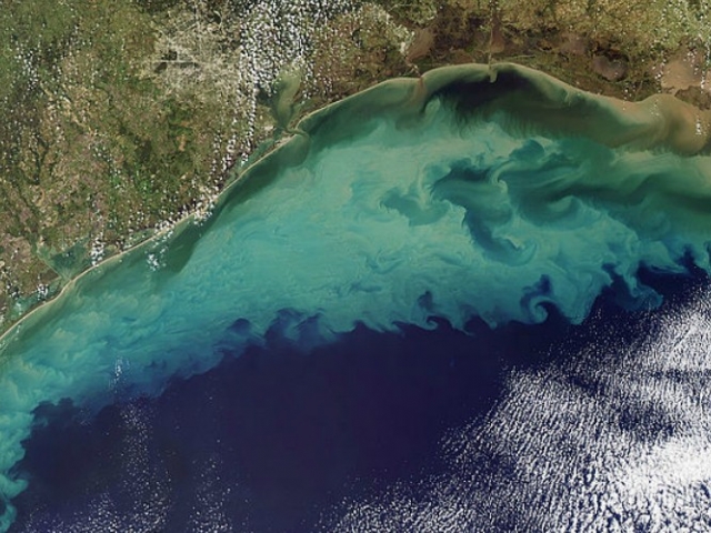 aerial view of Gulf of Mexico