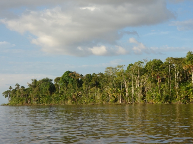 Amazon river