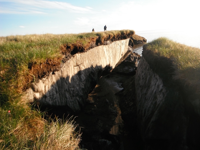 Two people standing at edge of eroded coastline, showing ice under layer of vegetation