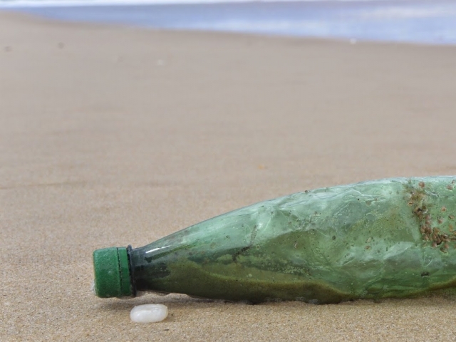 Green plastic bottle lying on beach