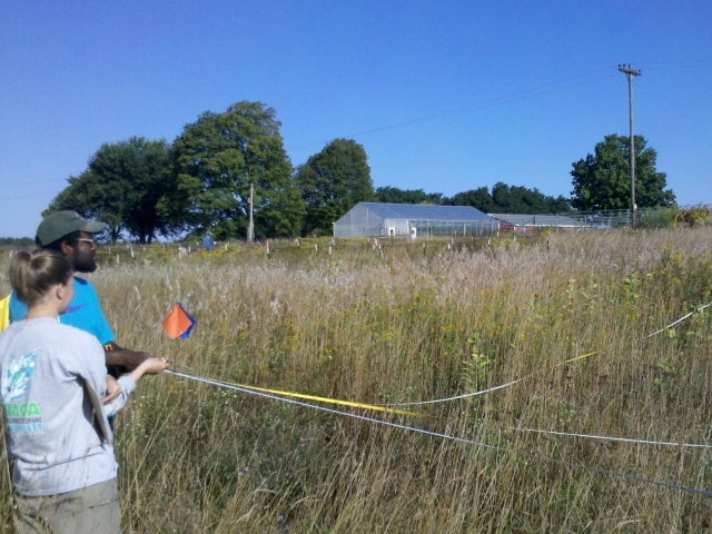 researchers setting up plots in grassland