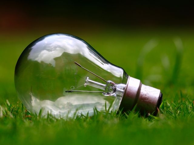 light bulb lying in grass