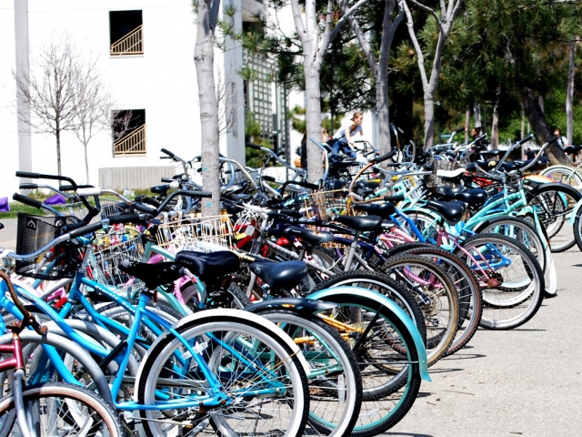 Dozens of bikes parked at university