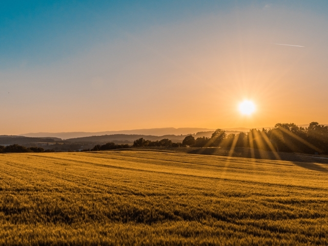 Sun shines over a farm field