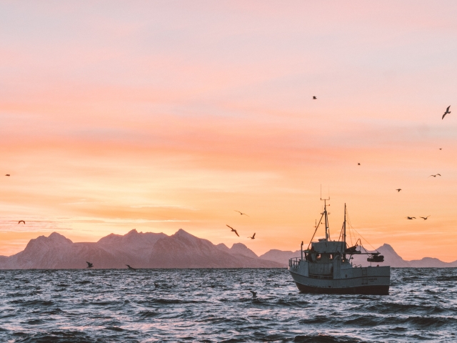 Fishing boat during sunset