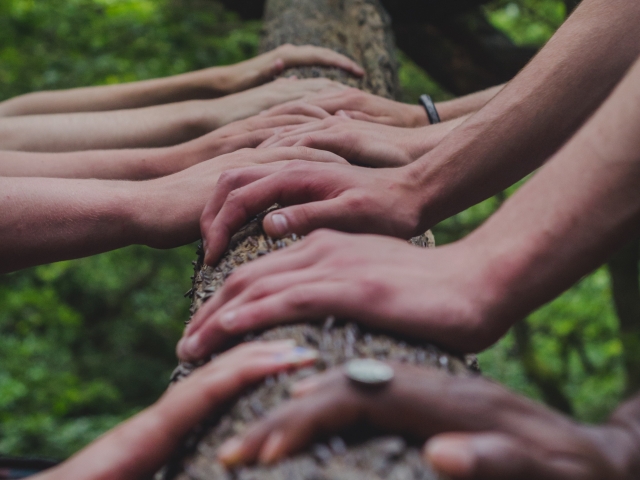 Sets of hands on a tree trunk
