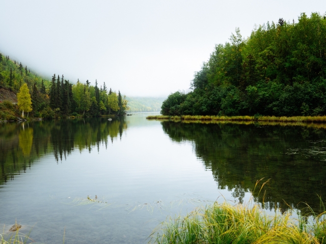 lake with forest reflecting in water