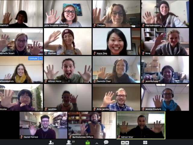 Cohort1_zoom