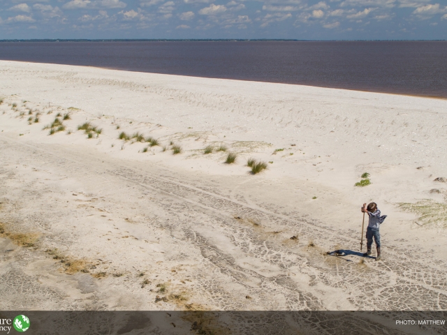 Person restoring a beach