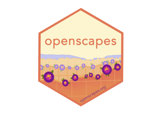 Openscapes Hexagon