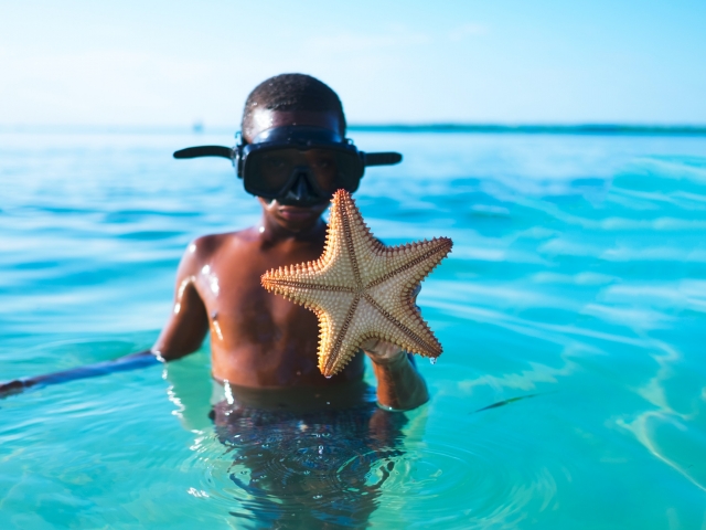 boy in ocean with starfish