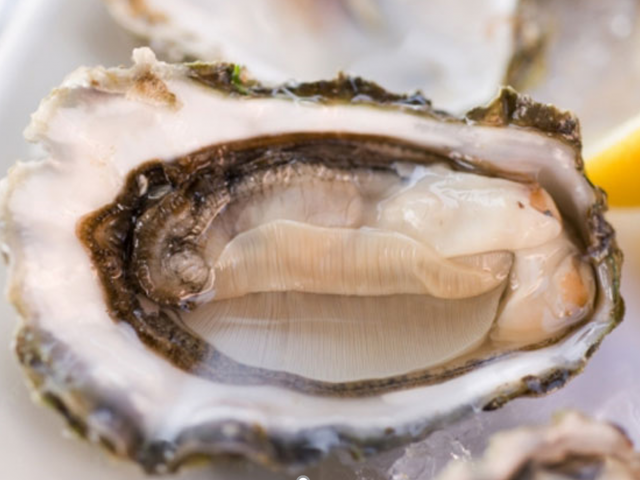 oyster on a plate