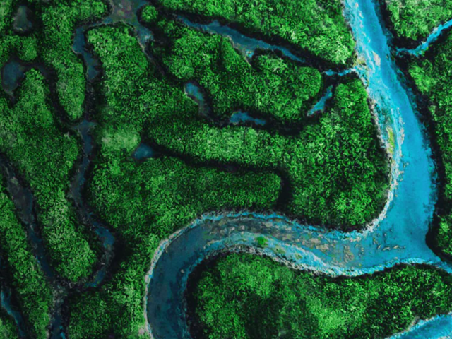 Satellite image of river