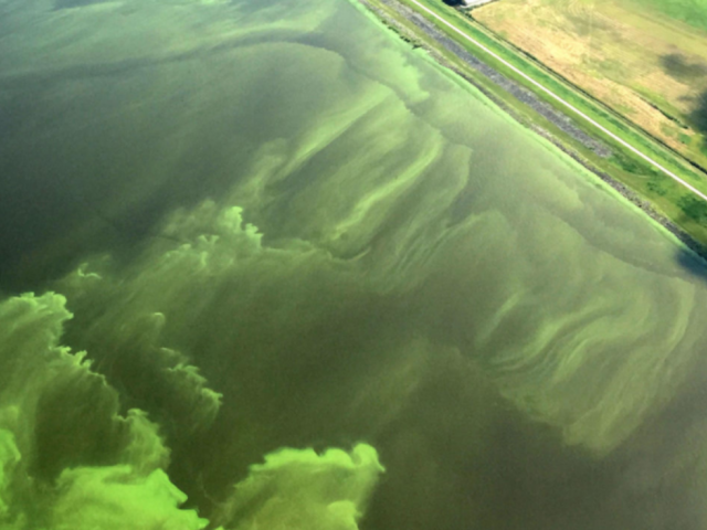 Satellite image of coastal wastewater