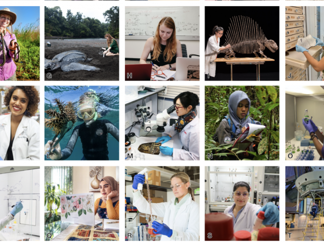 Collage of female scientists featured on women doing science instagram page