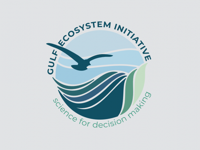 Gulf Ecosystem Initiative Logo, featuring stylized sea grass, waves and a gull