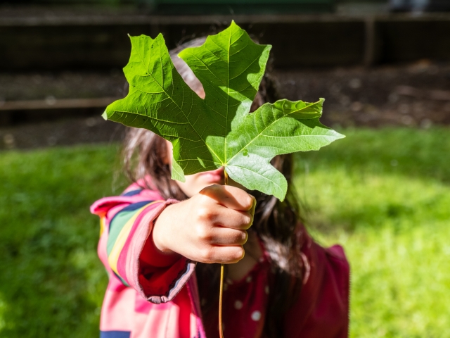 A girl holds a giant green leaf
