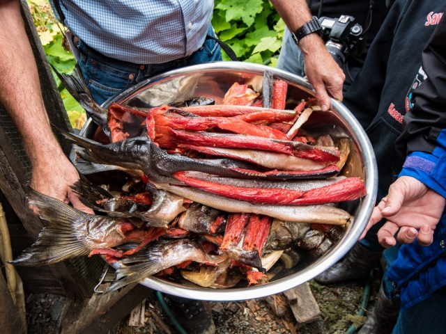 Bowl of Salmon being held by group of people