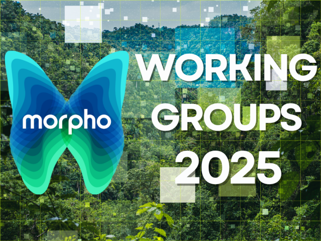 morpho logo blue working groups 2025, blue data overlay greenery