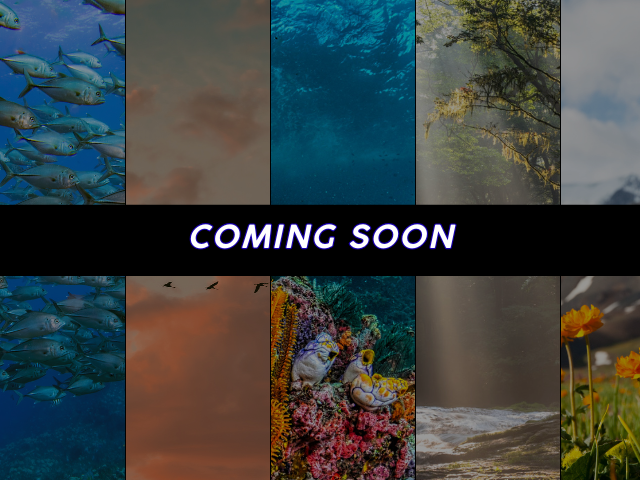 nature images behind coming soon