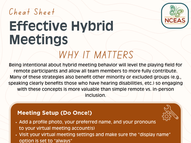 Hybrid Meetings