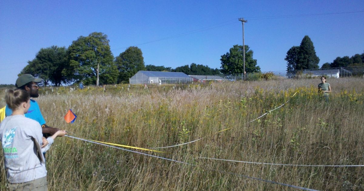 Grassland research proposal 05 image