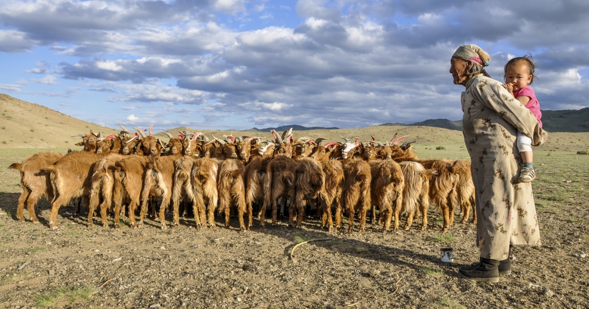 Science for Nature & People Partnership (SNAPP)