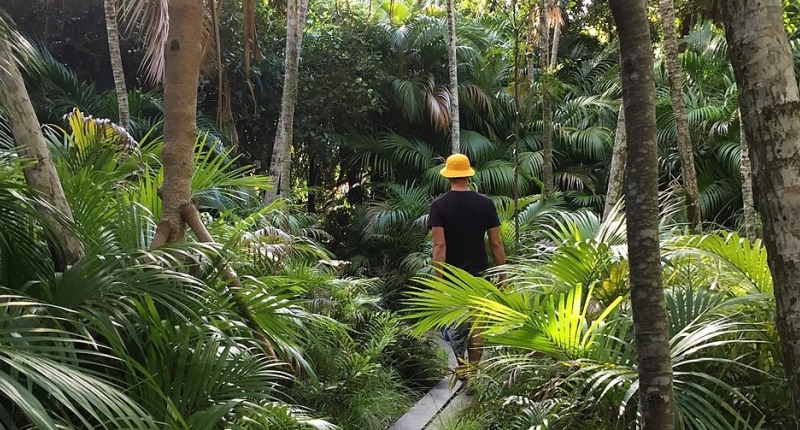 Man walking through rainforest